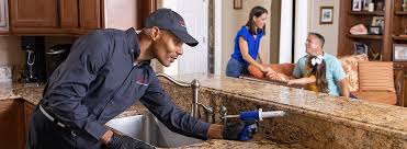 Best Pest Exclusion Services  in Clinton, NY