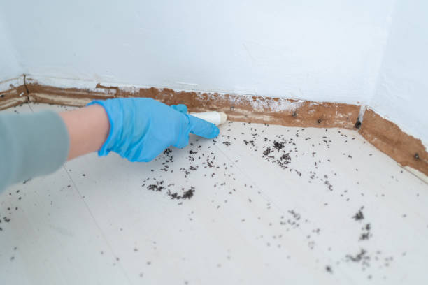 Best Pest Prevention Services  in Clinton, NY